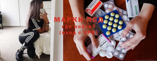 гидра Новозыбков