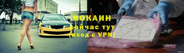 хмурый Няндома