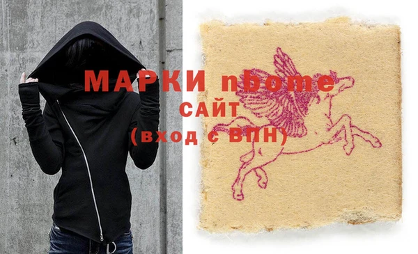 хмурый Няндома