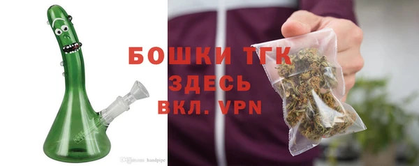 хмурый Няндома