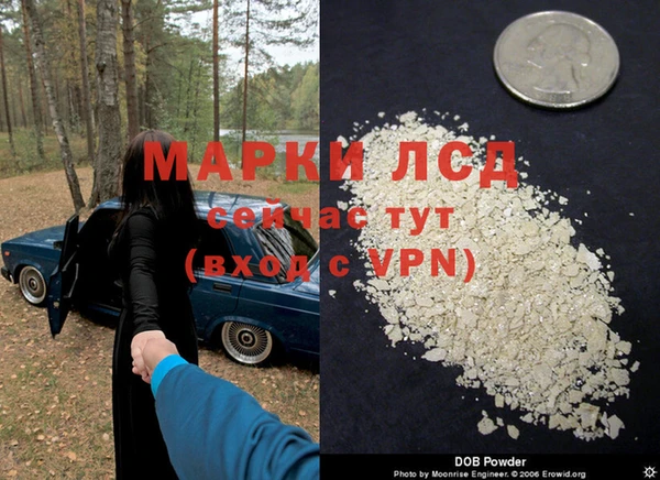 прущие крисы Новокубанск