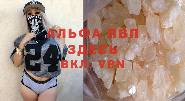 гидра Новозыбков