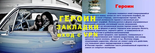 сатива Новодвинск