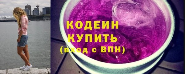 гашик Таштагол
